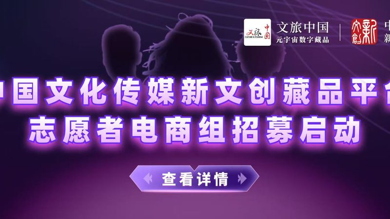 文化传媒公司注销清算报告撰写要点**